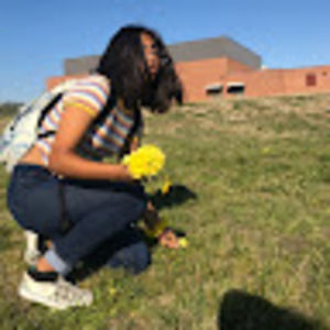 Meet your Posher, Lesslyy